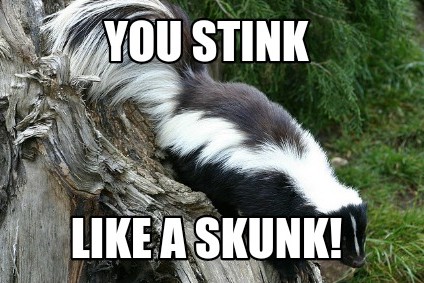 skunk3