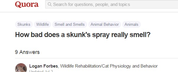 skunk4